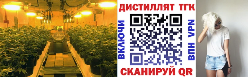 сколько стоит  Спасск-Дальний  ТГК вейп 